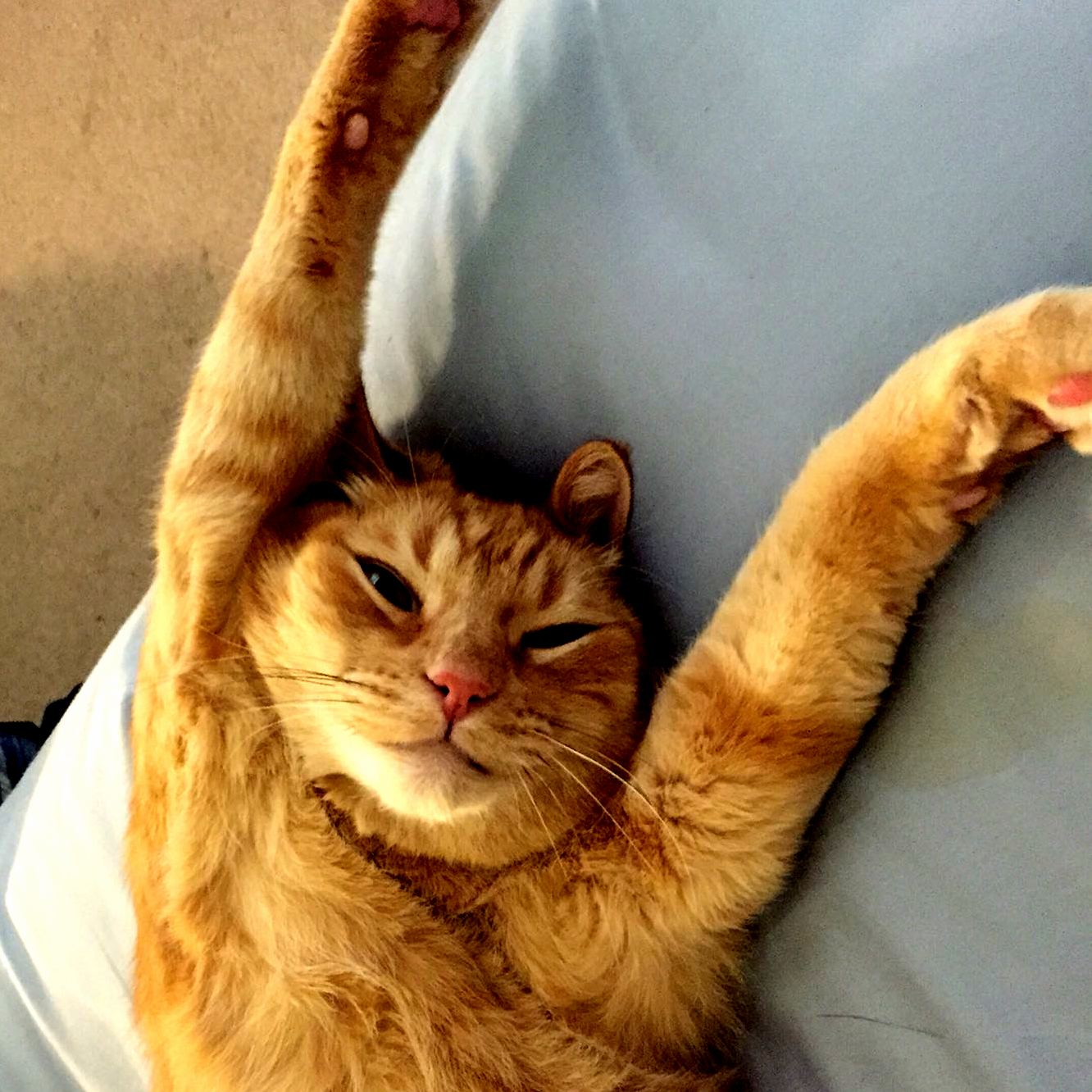 Throw Yo Hands in the Ay-er