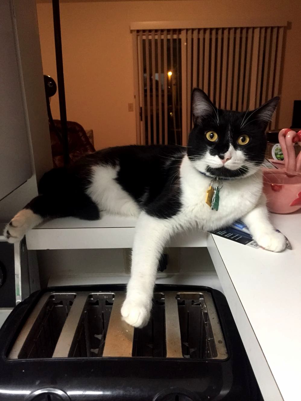 Toast Master