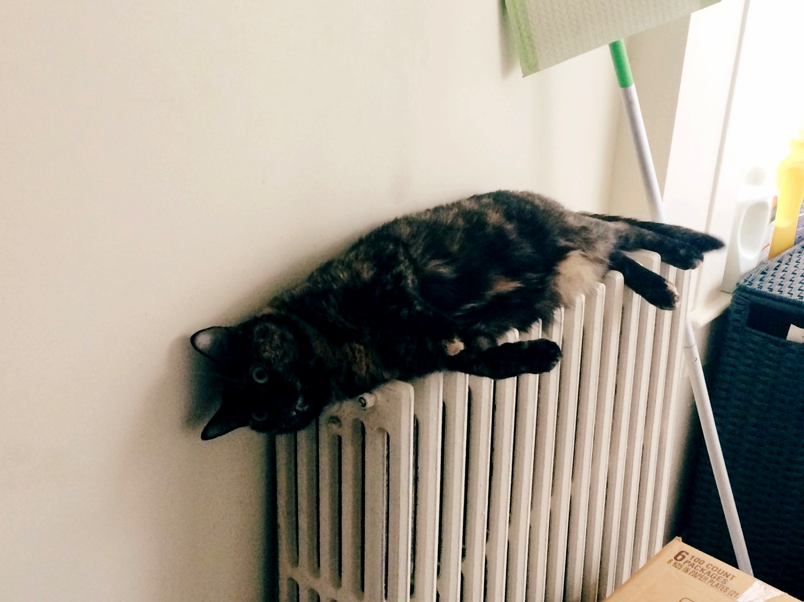 Turned My Heat on Last Night Woke Up to This.