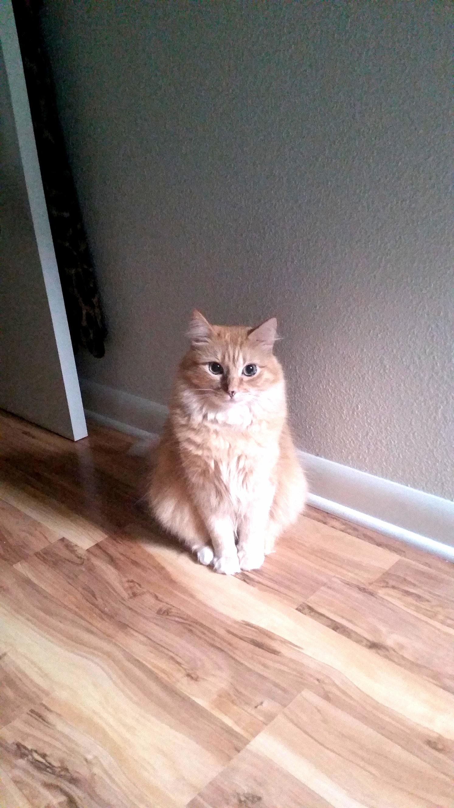 Waiting on the So to Come Home