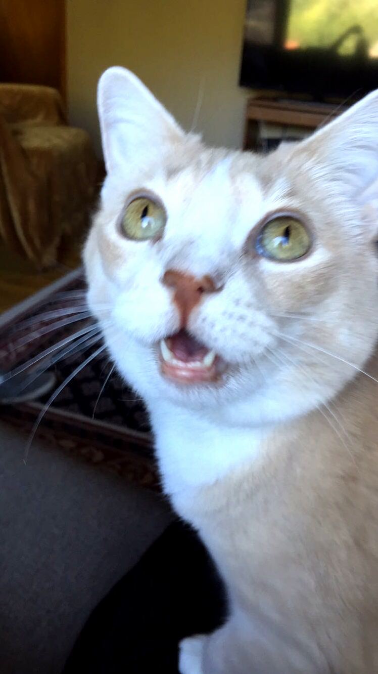 We Told Her We Were Taking Her to Disneyland