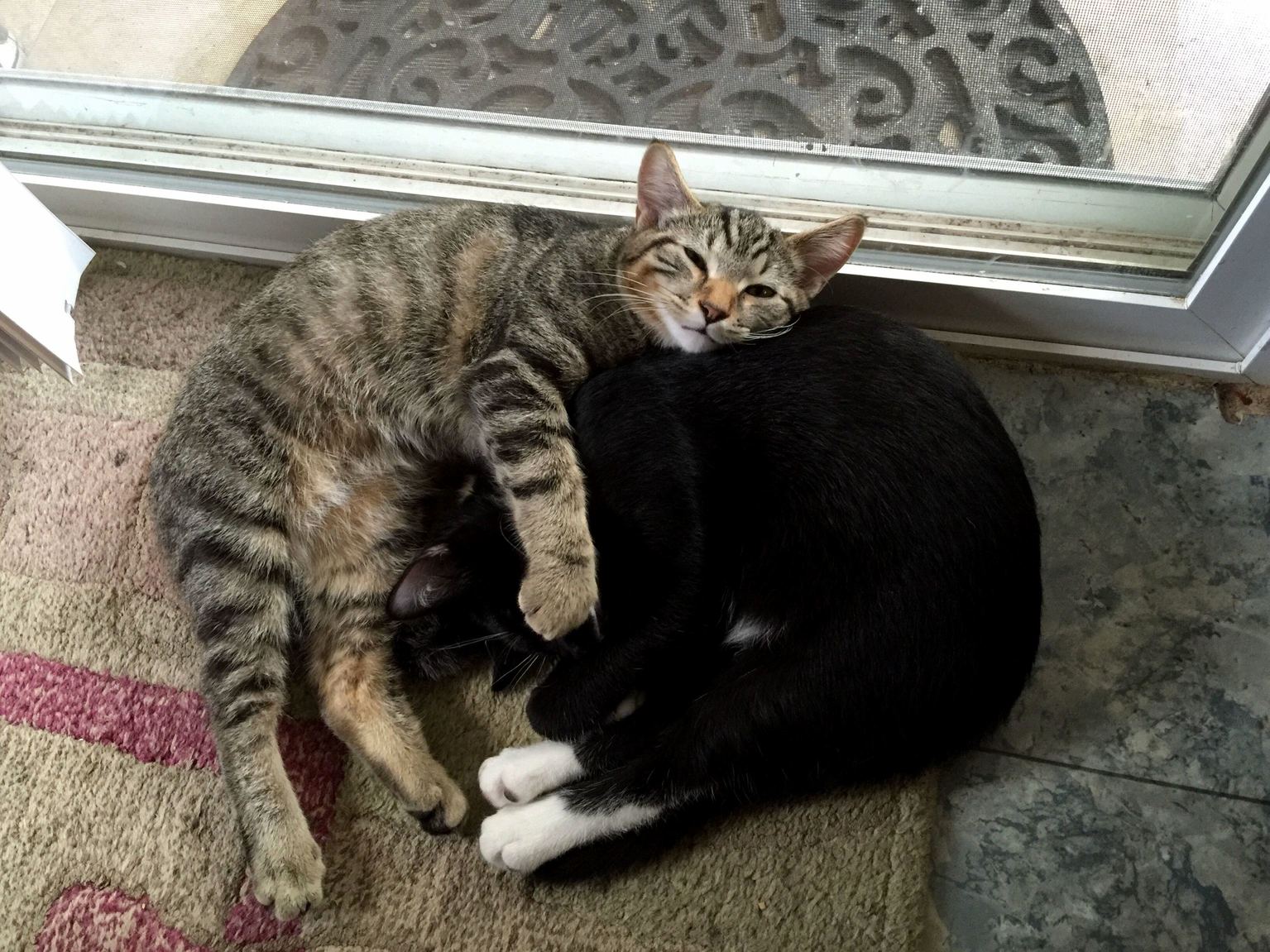 We Will Just Sleep Here Till You Let Us Out