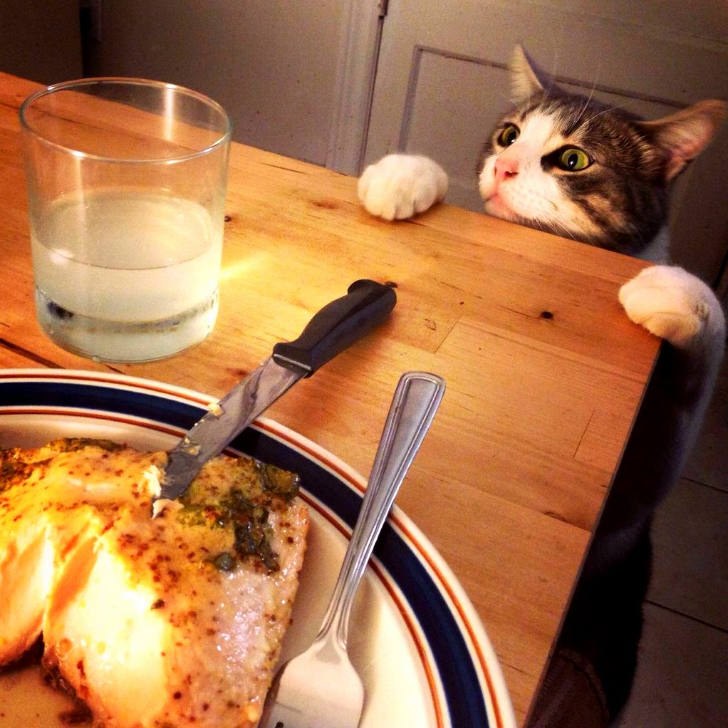 What Are We Having