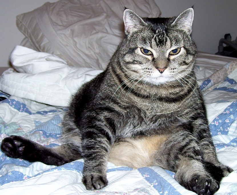 What the Hell Are You Lookin at