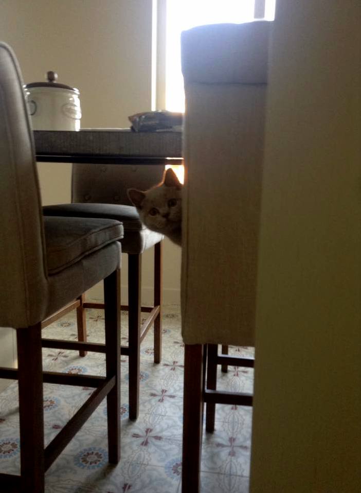 Whatcha Doin