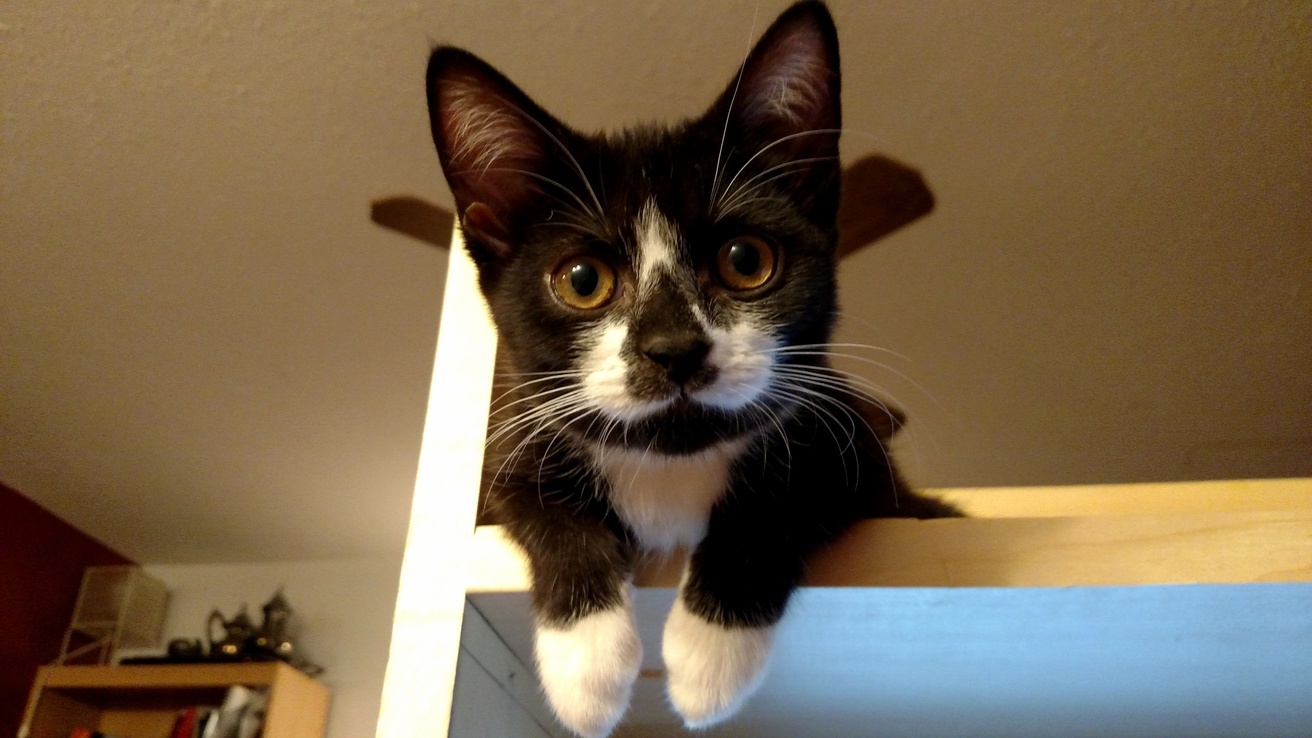 Whatcha Doing