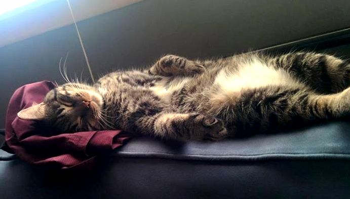 When Every Day Is a Sunday...