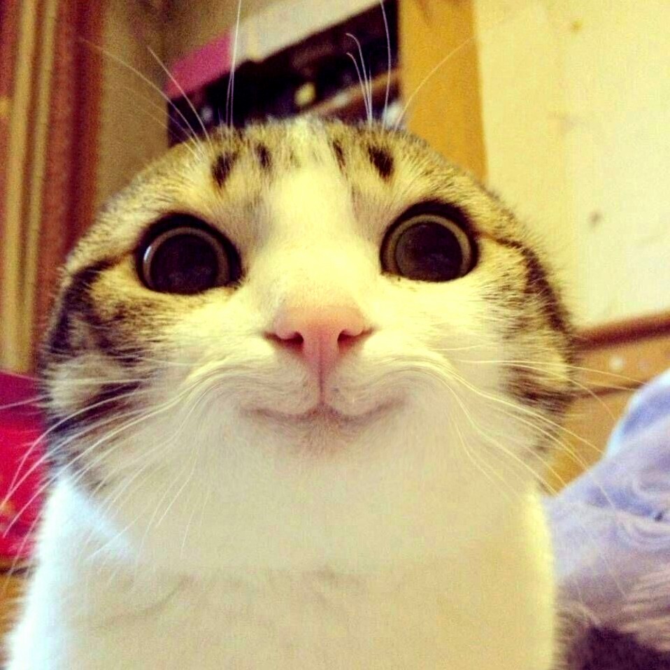 Where Are the Ears...