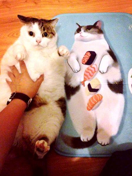 Which One Is Real