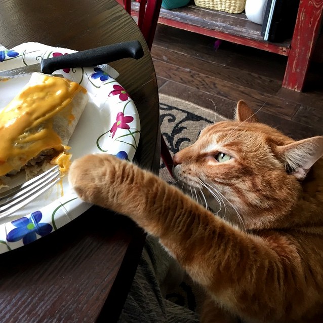 Yes I Will Have This for Dinner...
