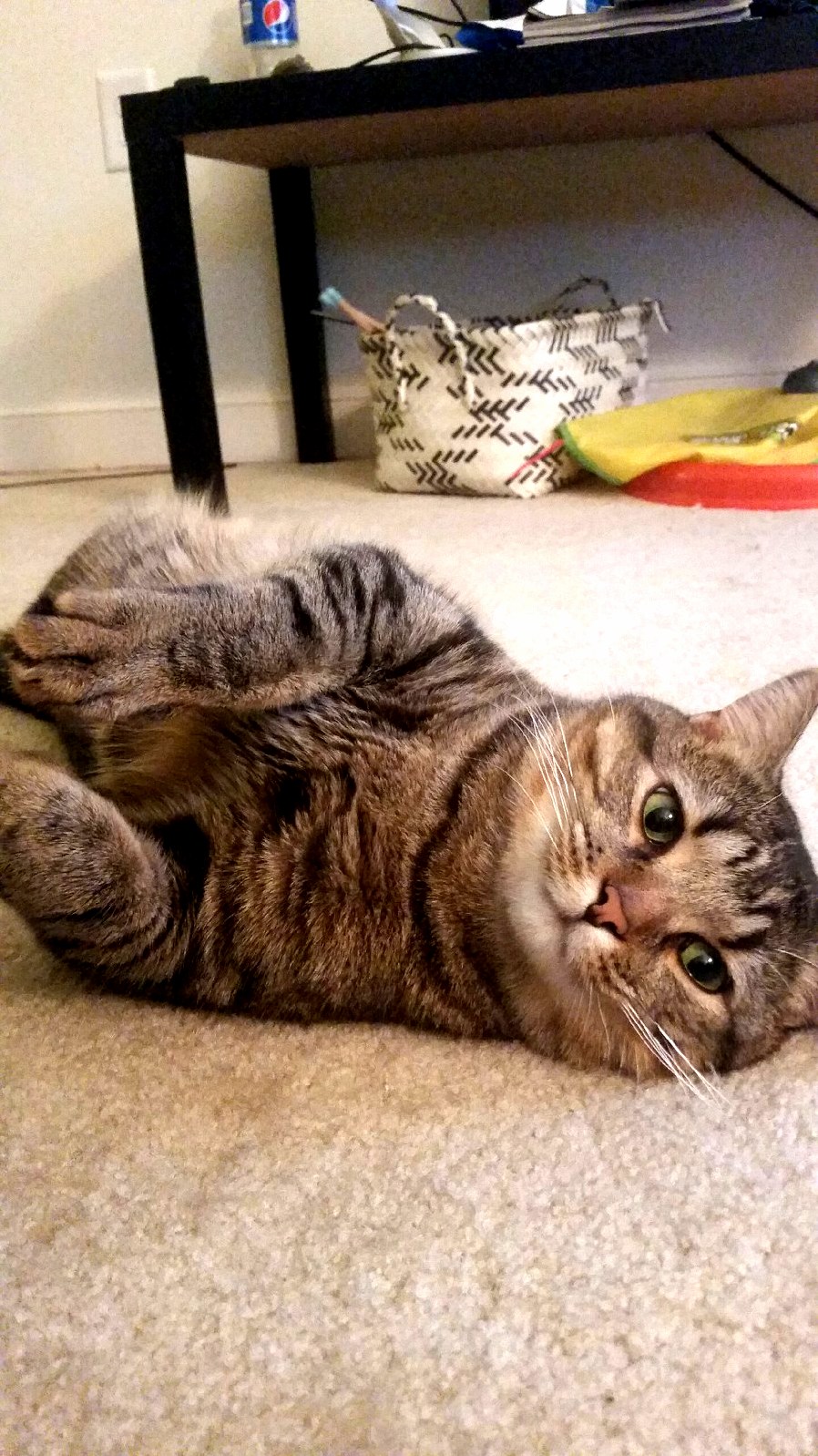 Youd Never Think He Just Finished Attacking Me