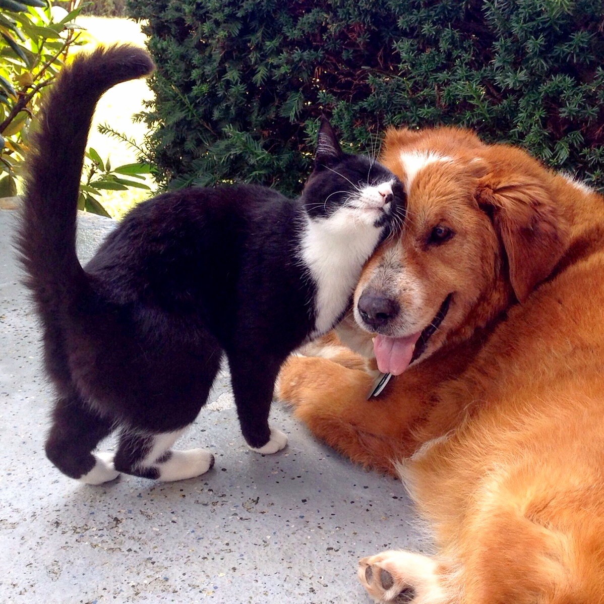 All You Need Is Love
