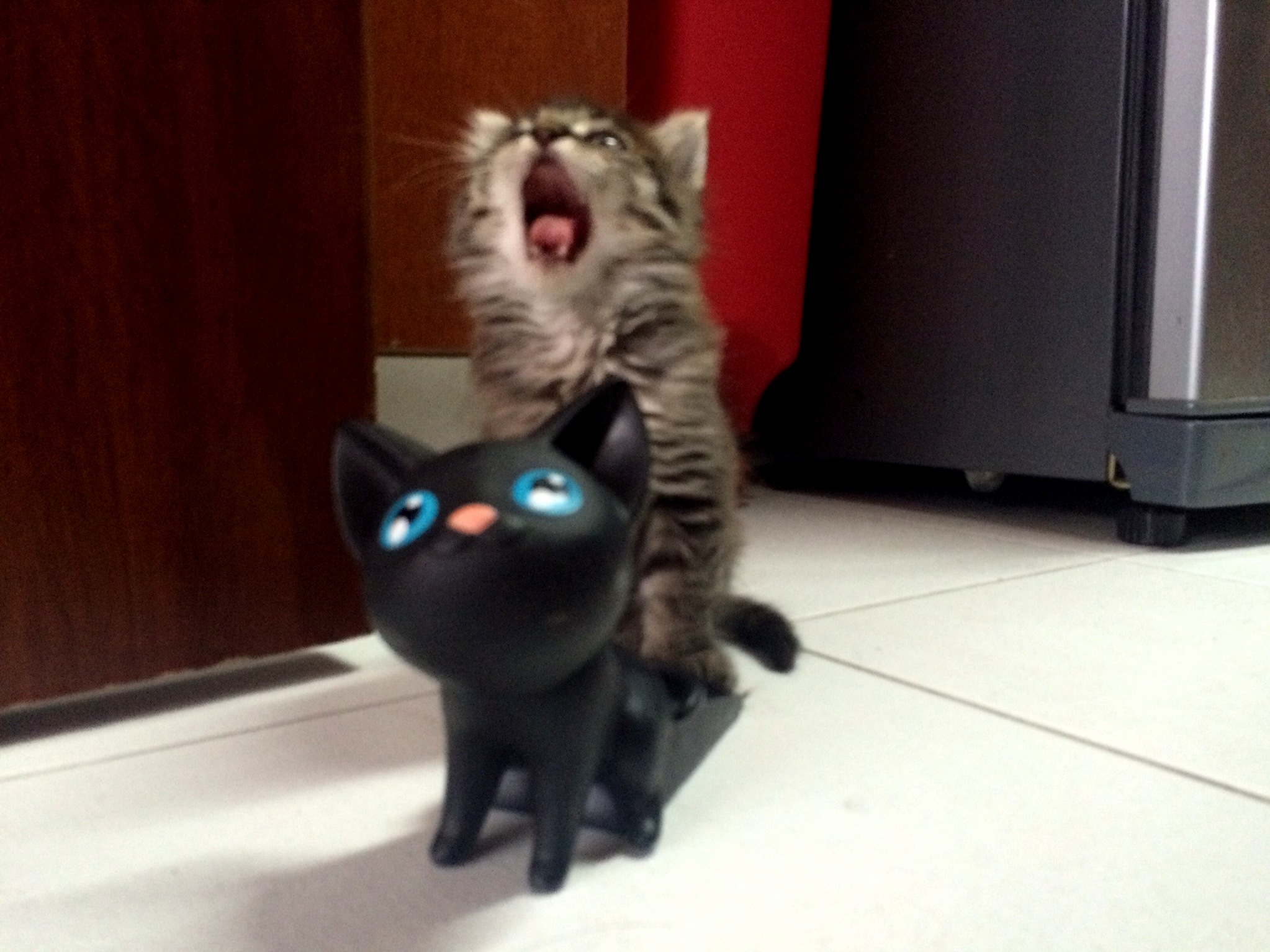 Catfight