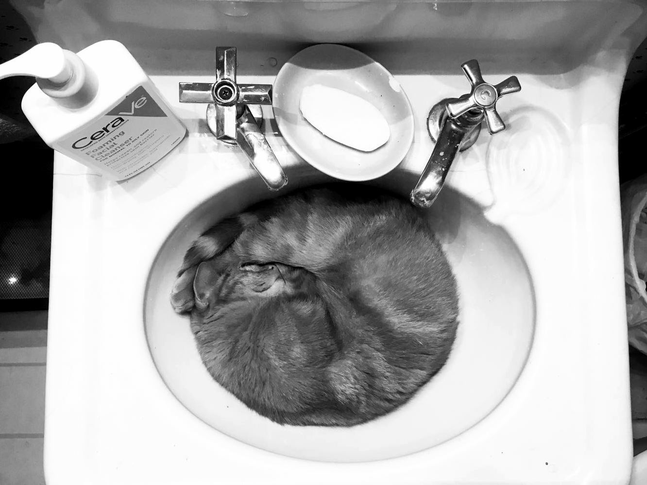 Cute but Inconvenient