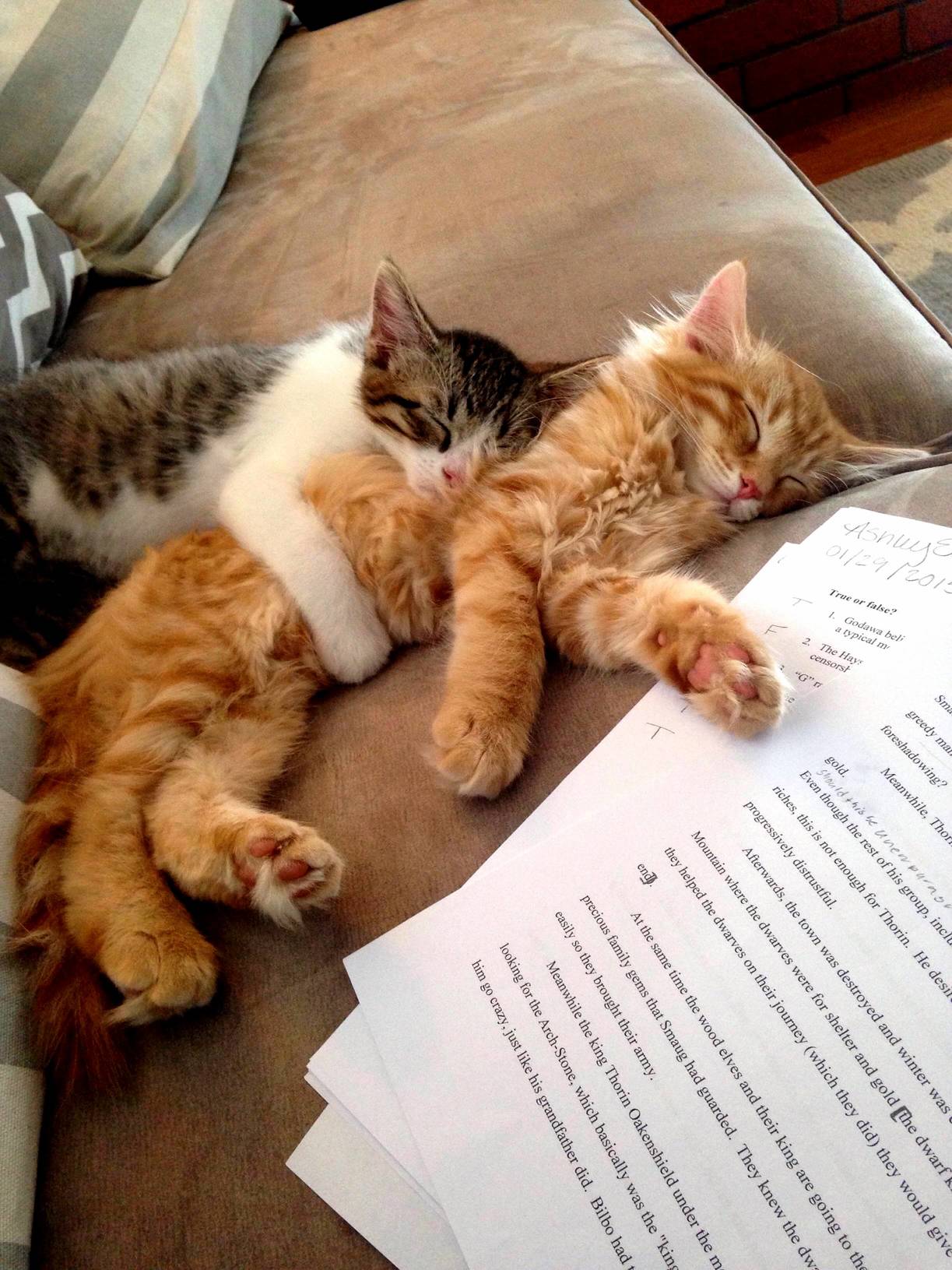 During Night Group Study.....