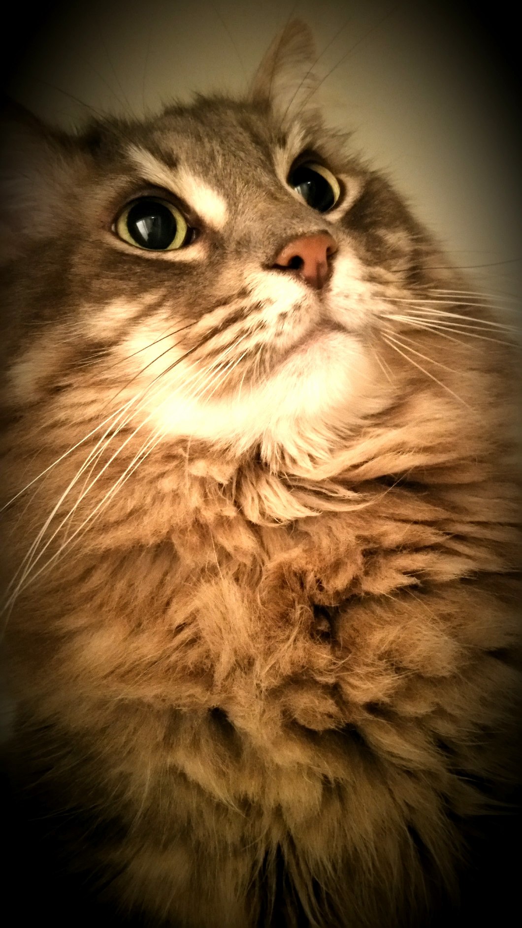 Elliott the Slightly Awkward Looking Glamour Shots Pose.