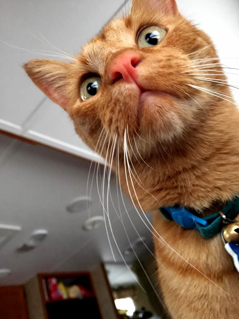 Gus Has Seen Some Shit