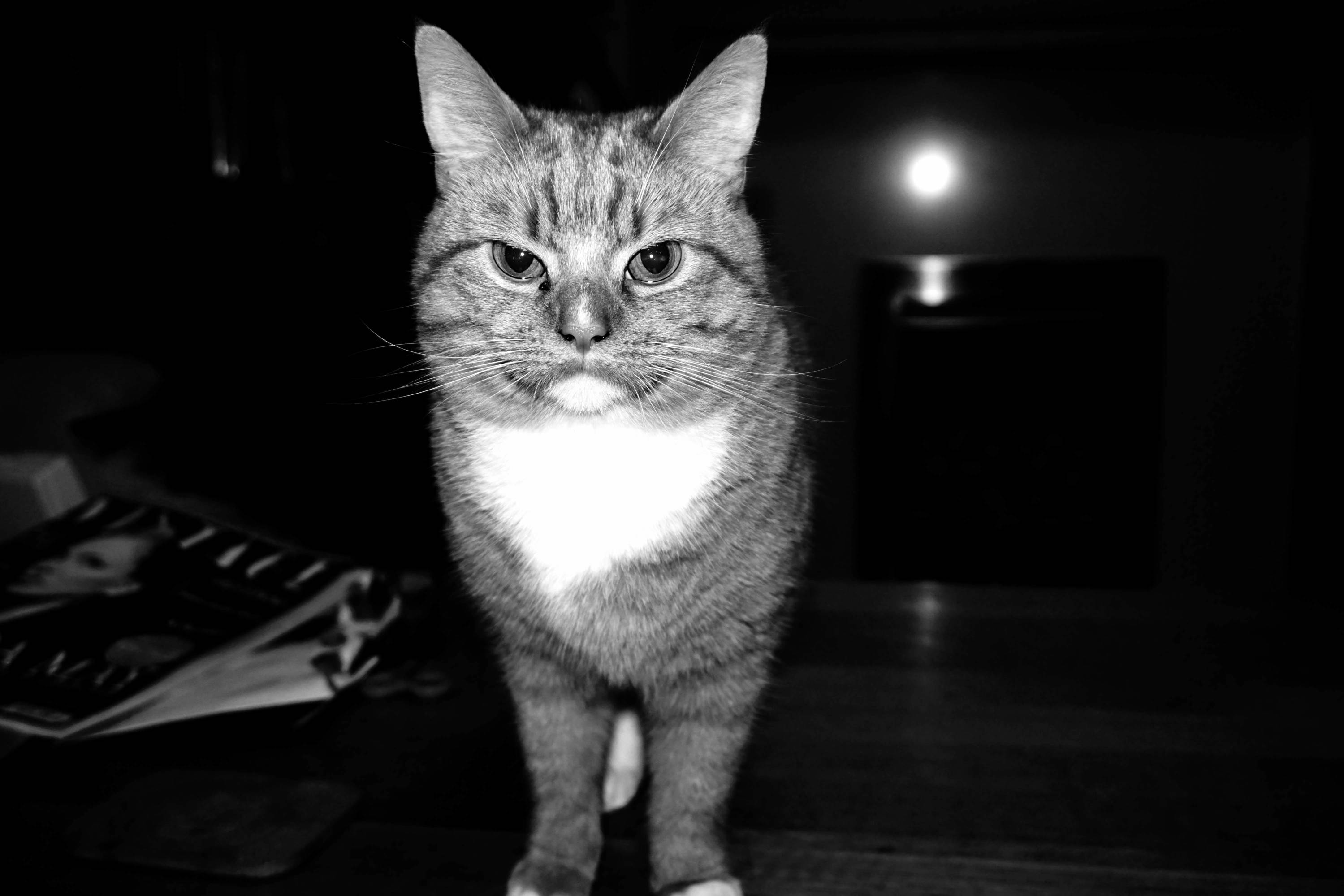 I Was Scratched Shortly After This Photo