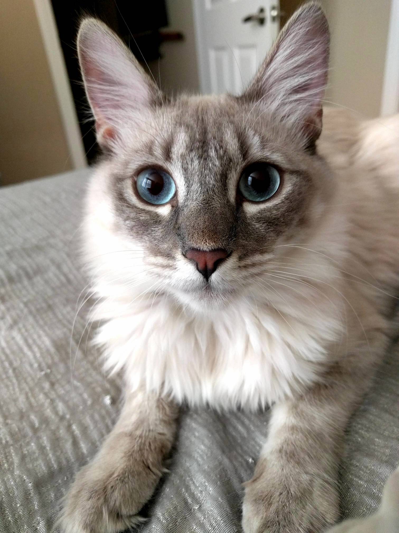 It Only Took 8 Months to Get Her to Sit Still for a Picture.