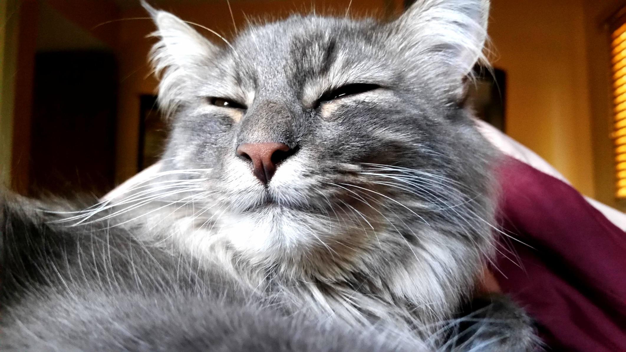 Morning Breath