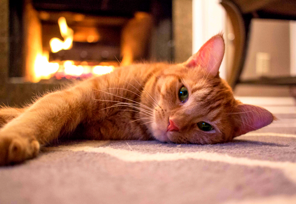 My Little Girl Blazie....first Fire of the Fall