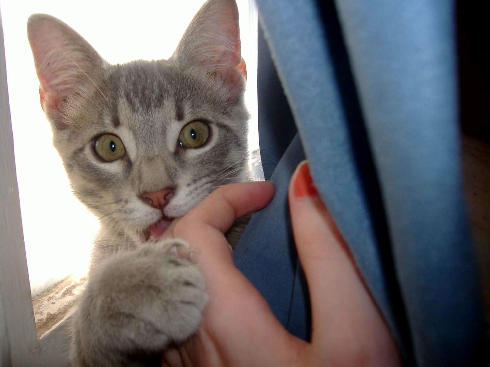 Ohai Mom.