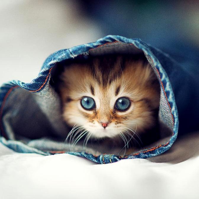 Playing Hide and Seek