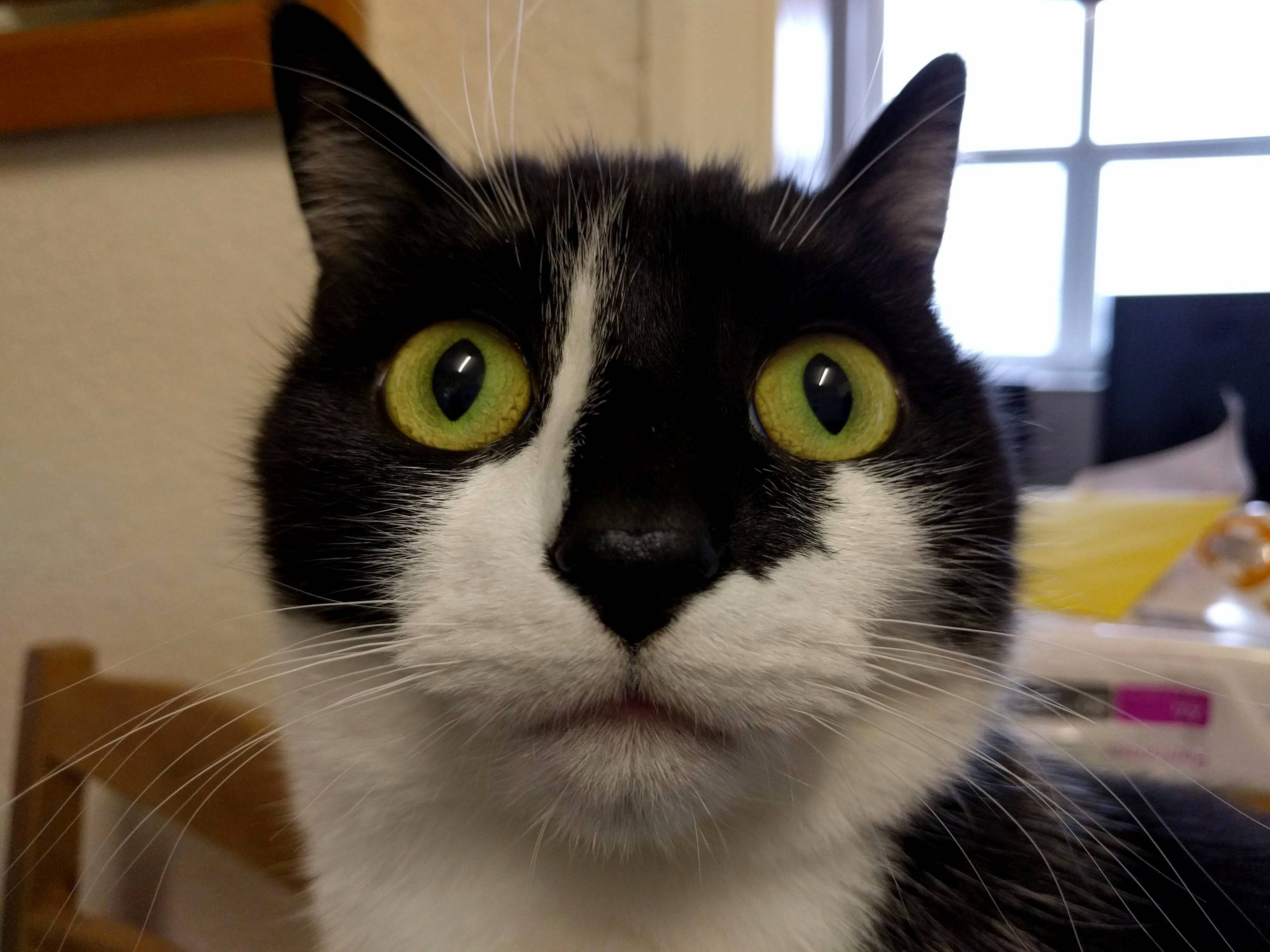 River Has Lovely Round Eyes.