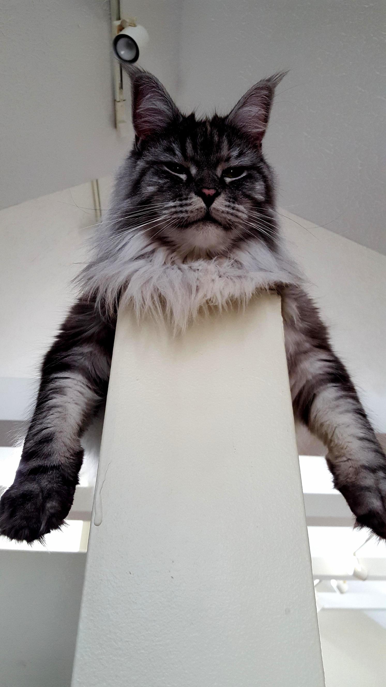 Sitting in Her Favorite Spot.
