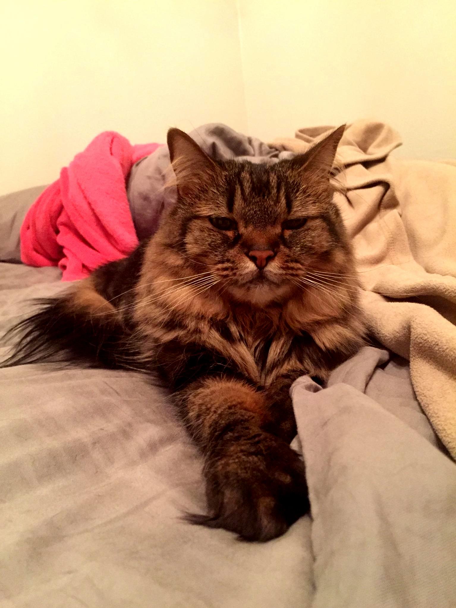 So Tired