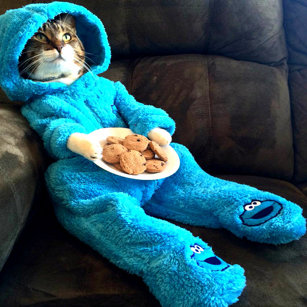 This Is What I Do on the Weekend