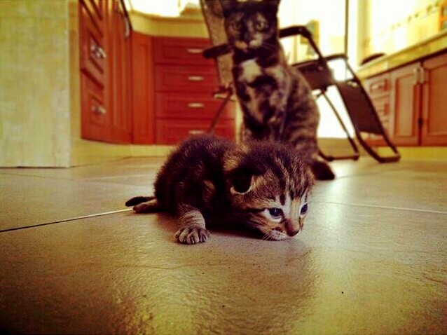 Almost 1 Week Old