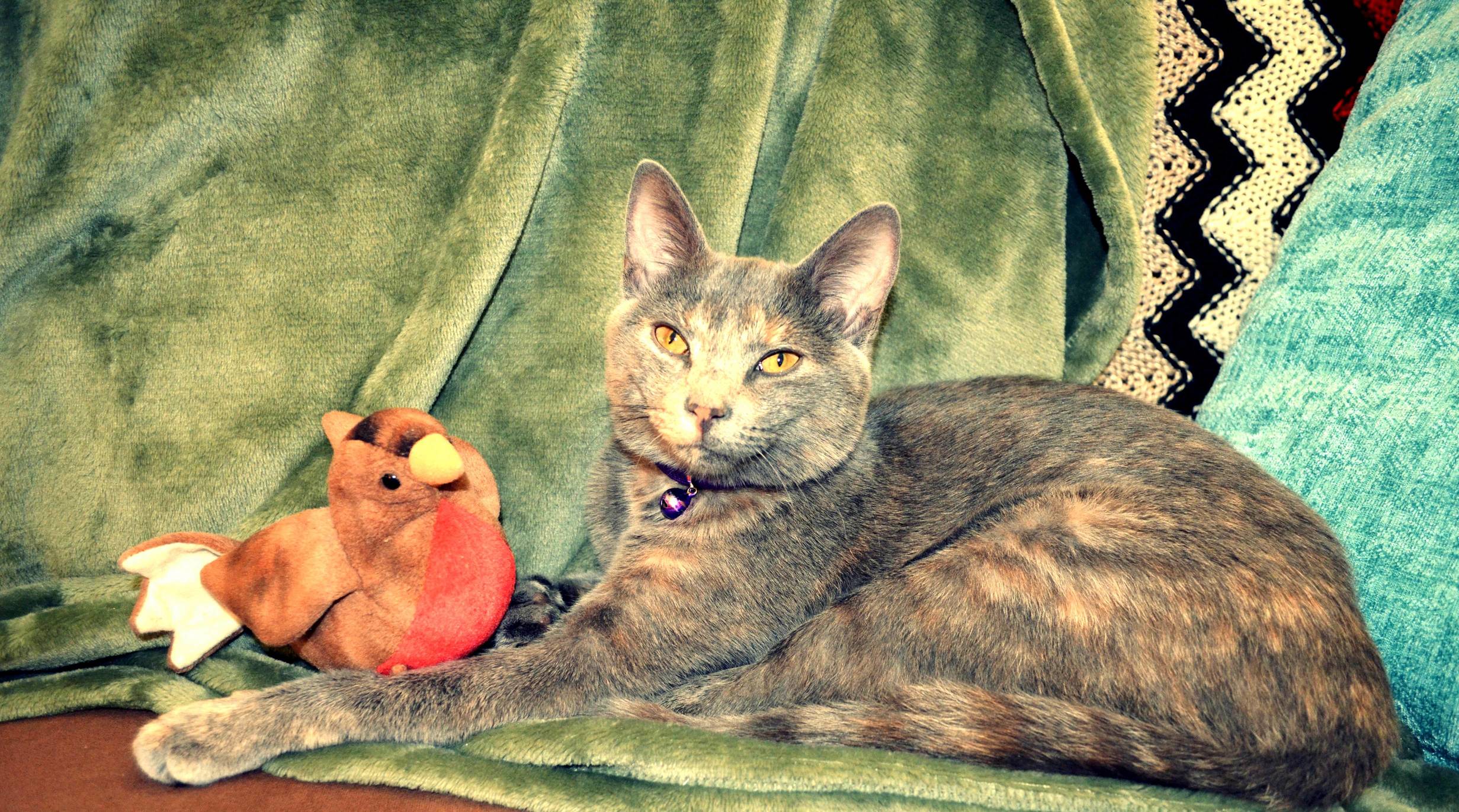 Ashe and Her Bestie Mr. Bird