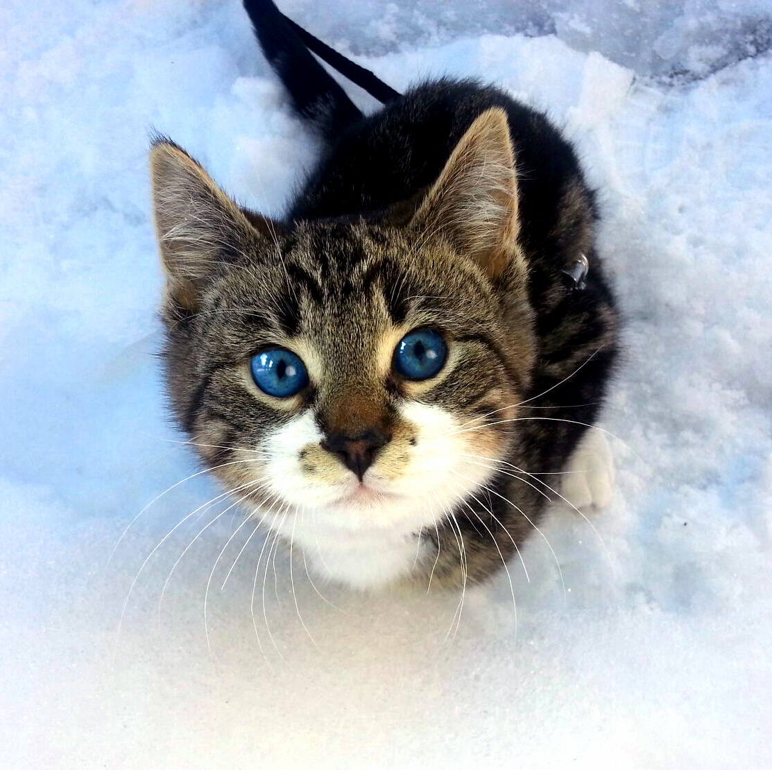 Babys First Day in the Snow
