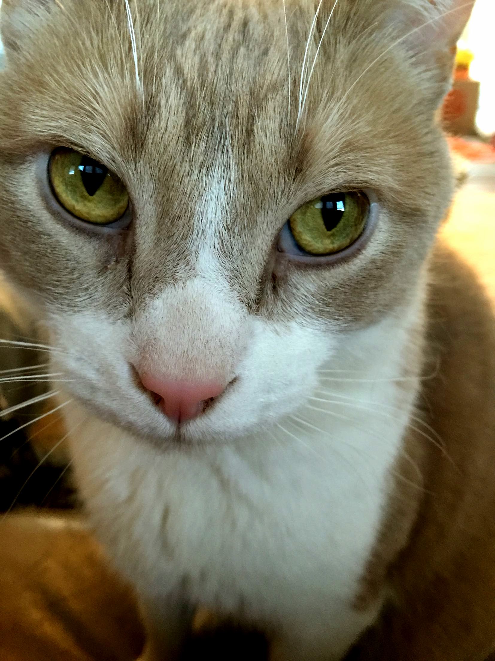 Butters Doesnt Care About Your Personal Space