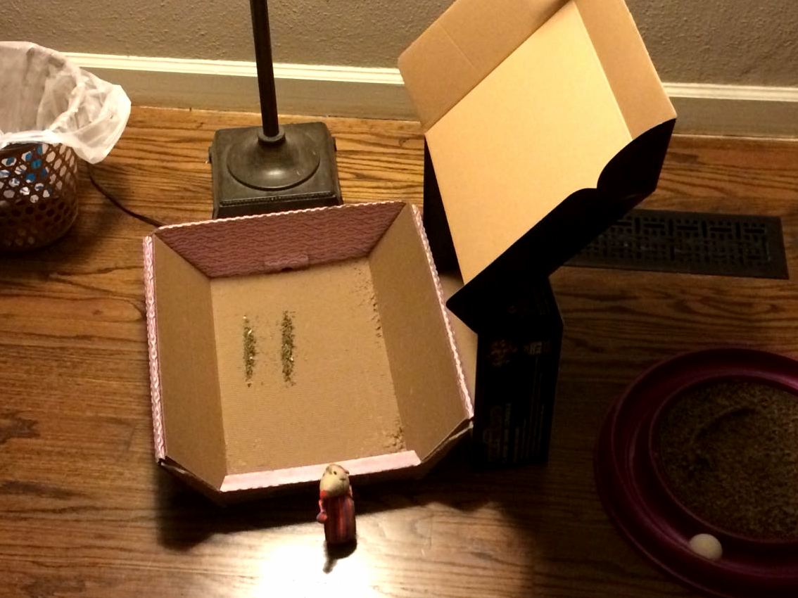 Cat Trap