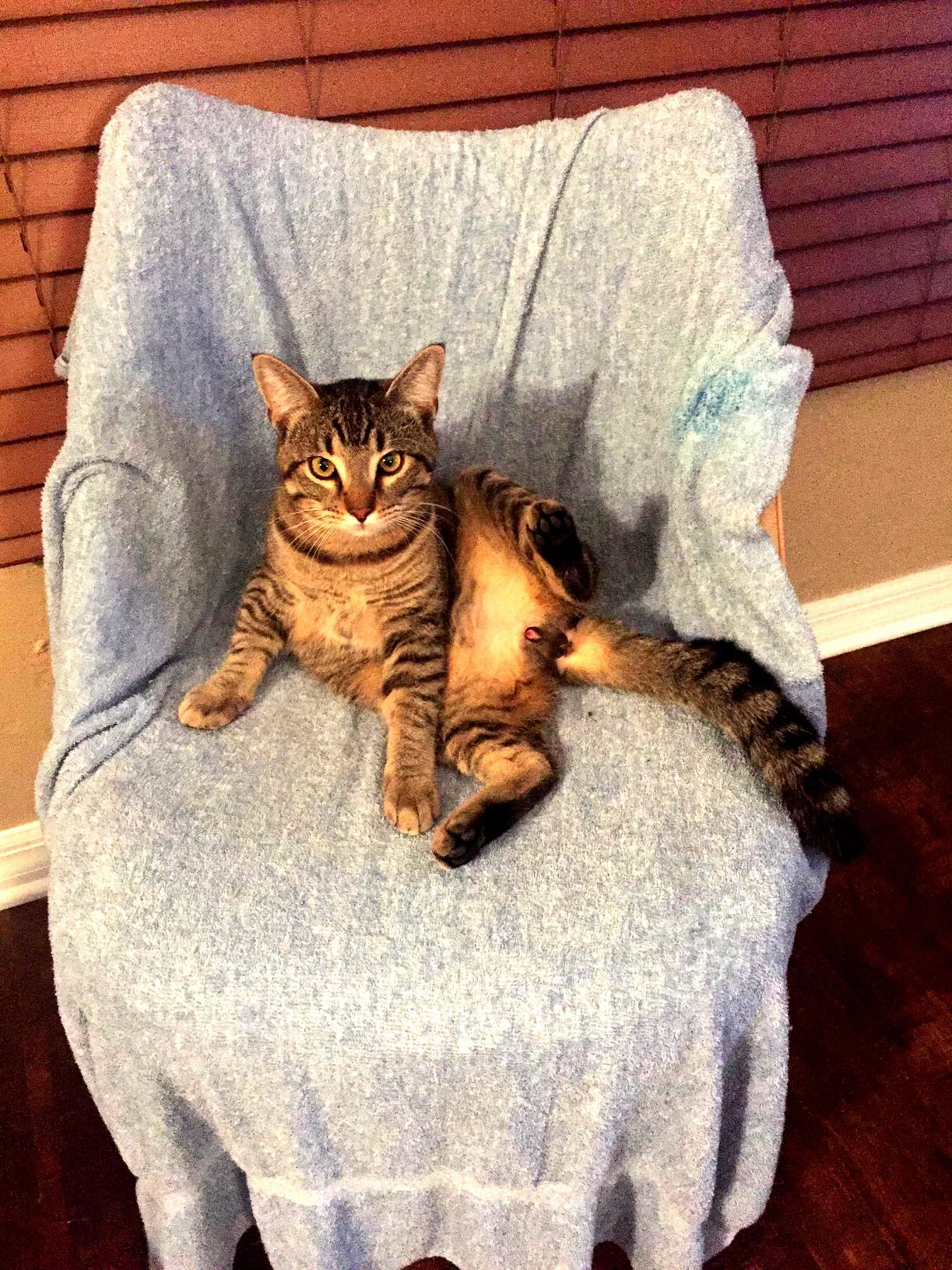 Do You Mind