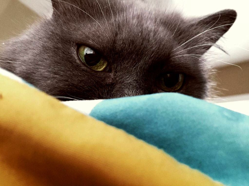 First Thing I See After Waking Up on a Cold Morning