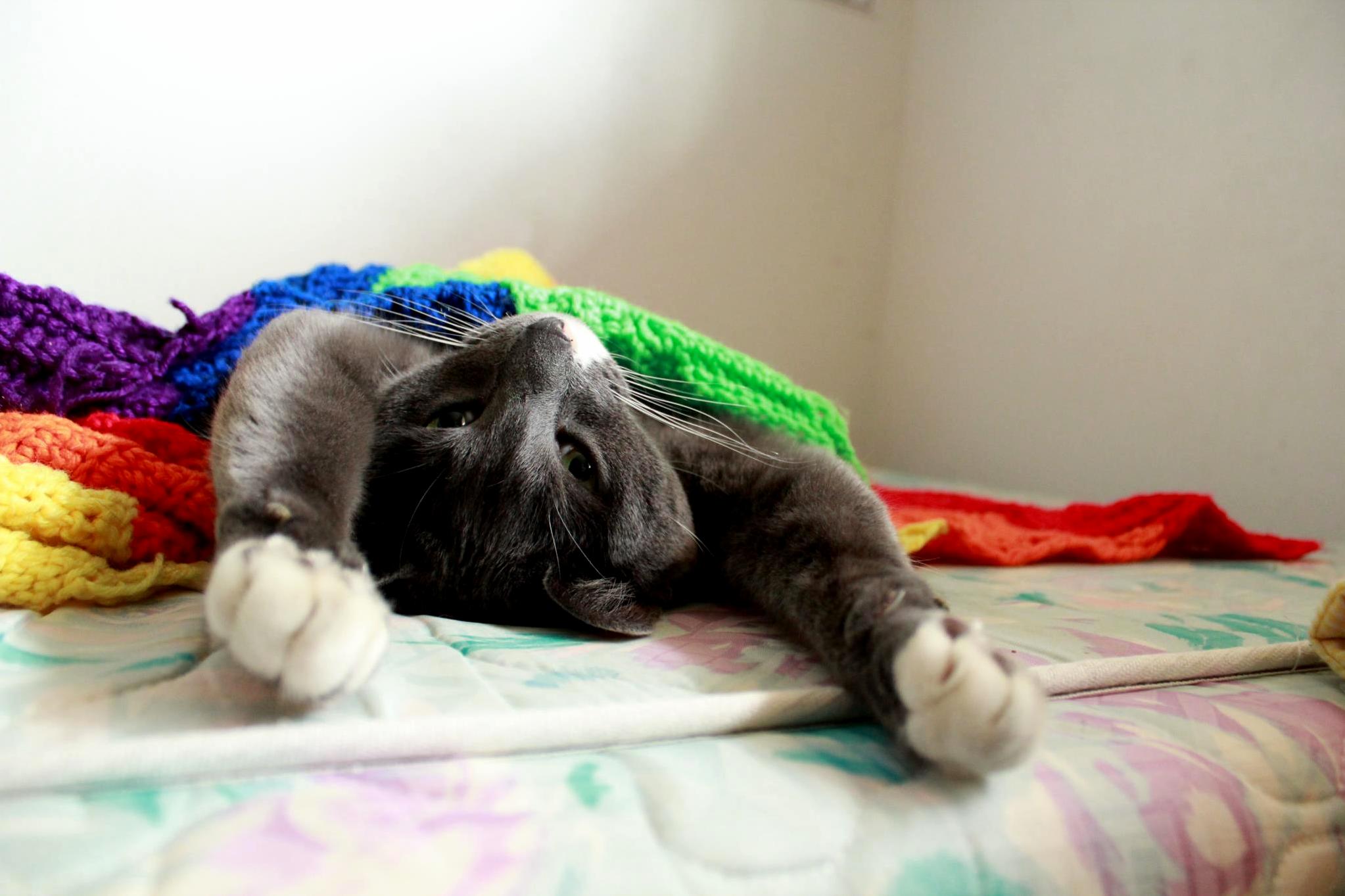 He and I Feel the Same Way About Mornings