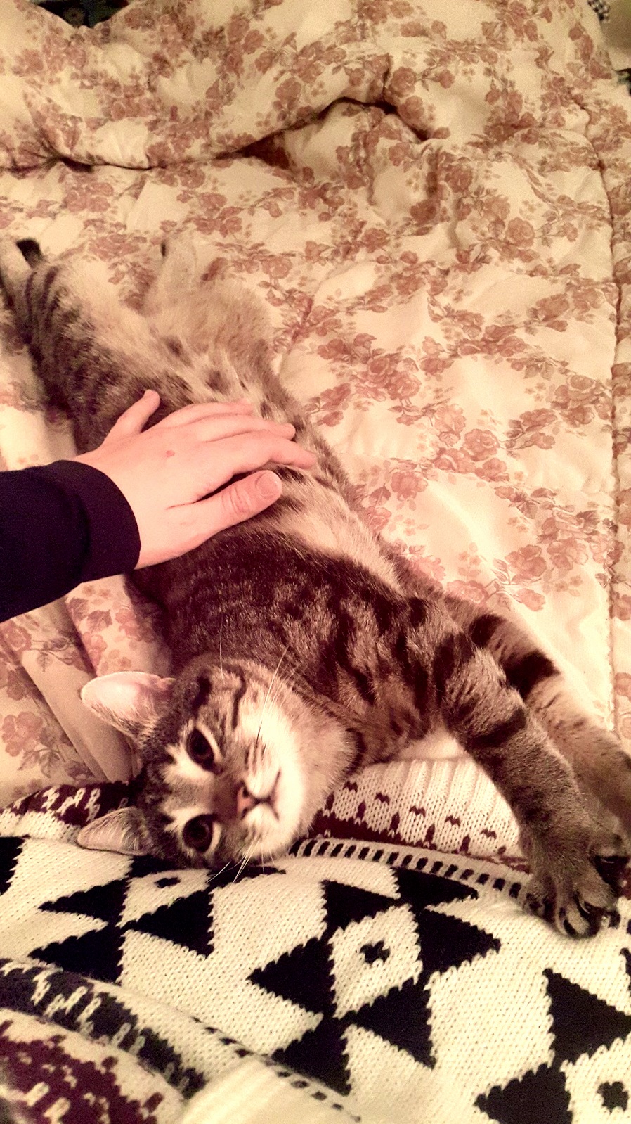 He Dont Mind Them Belly Rubs
