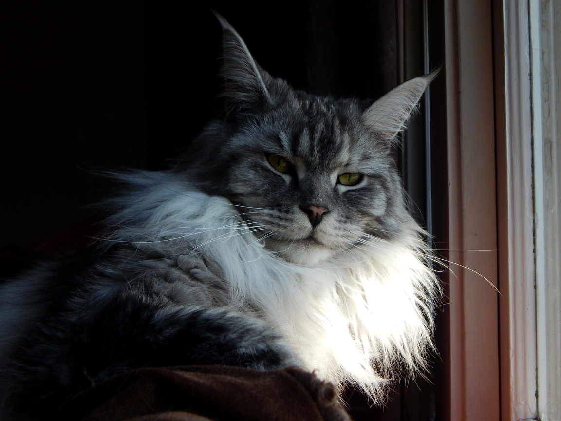 Her Best Jabba Impression