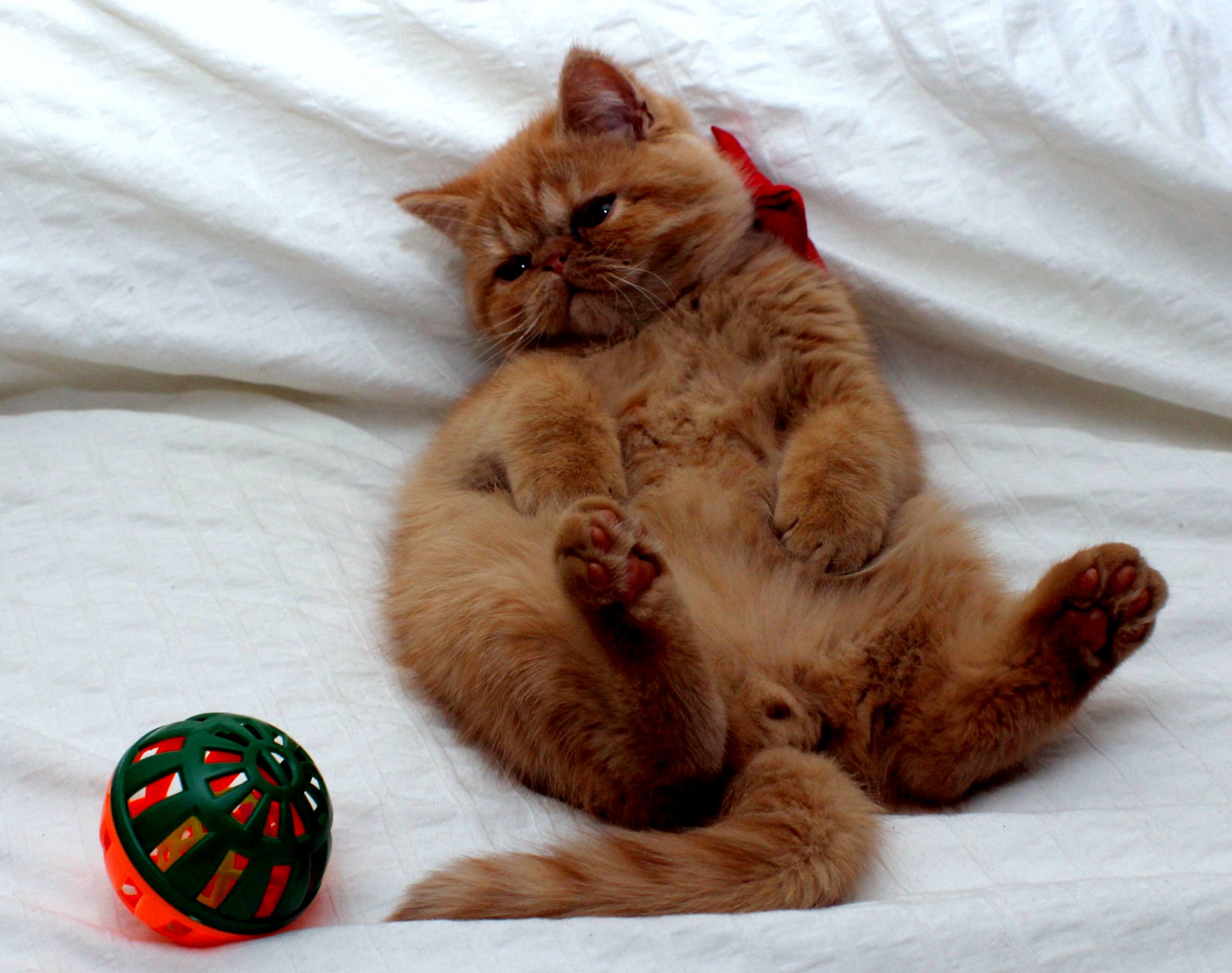 How I Feel All Day on Monday.