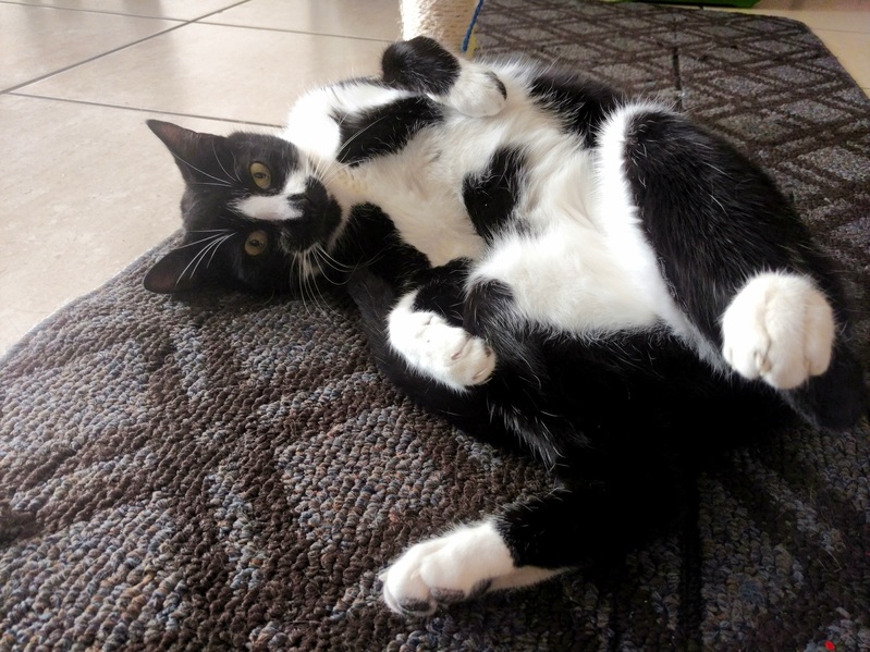 I Approached Him and He Immediately Struck a Pose