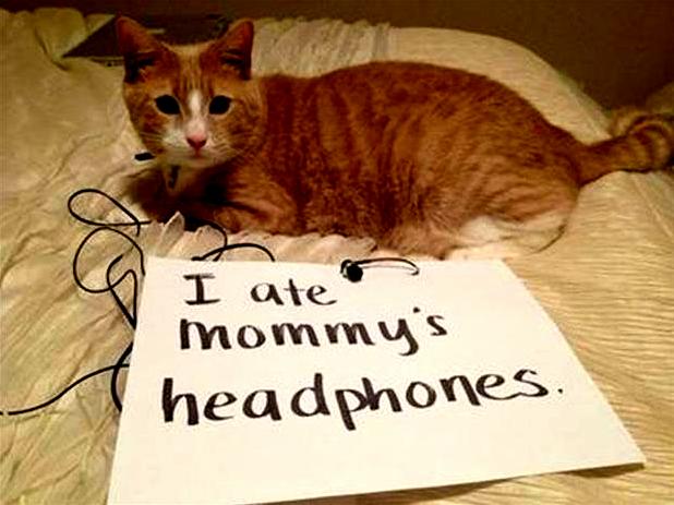 I Ate Mommys Headphones.