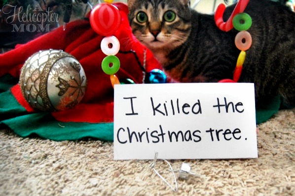 I Killed the Christmas Tree.