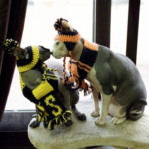 I Made Scarf and Hat Sets for My Brothers Cats.