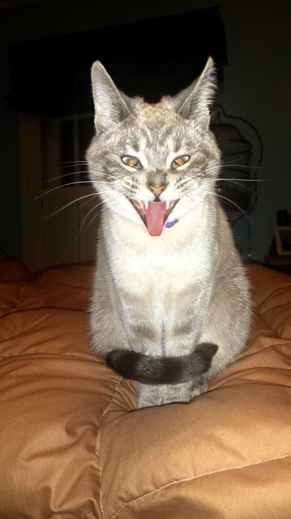 I Think She May Be Possessed...