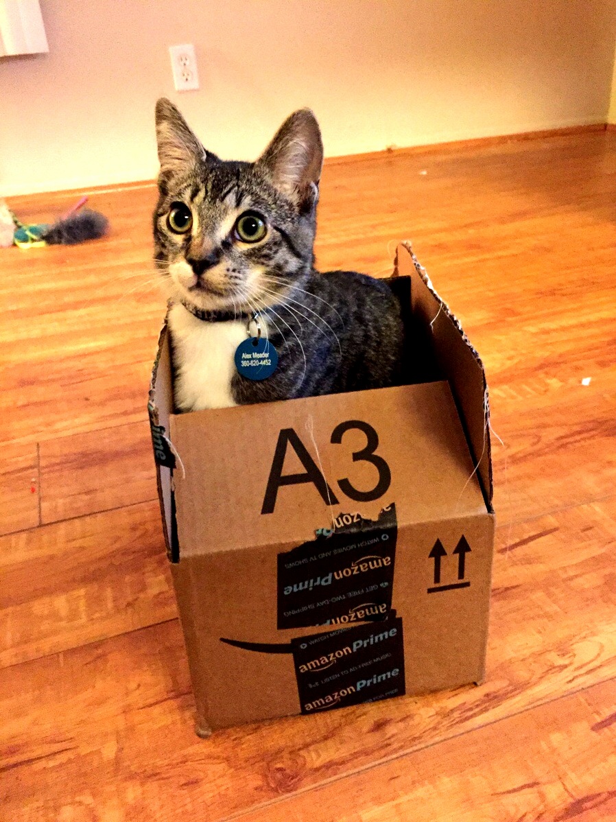 If It Fits I Sits