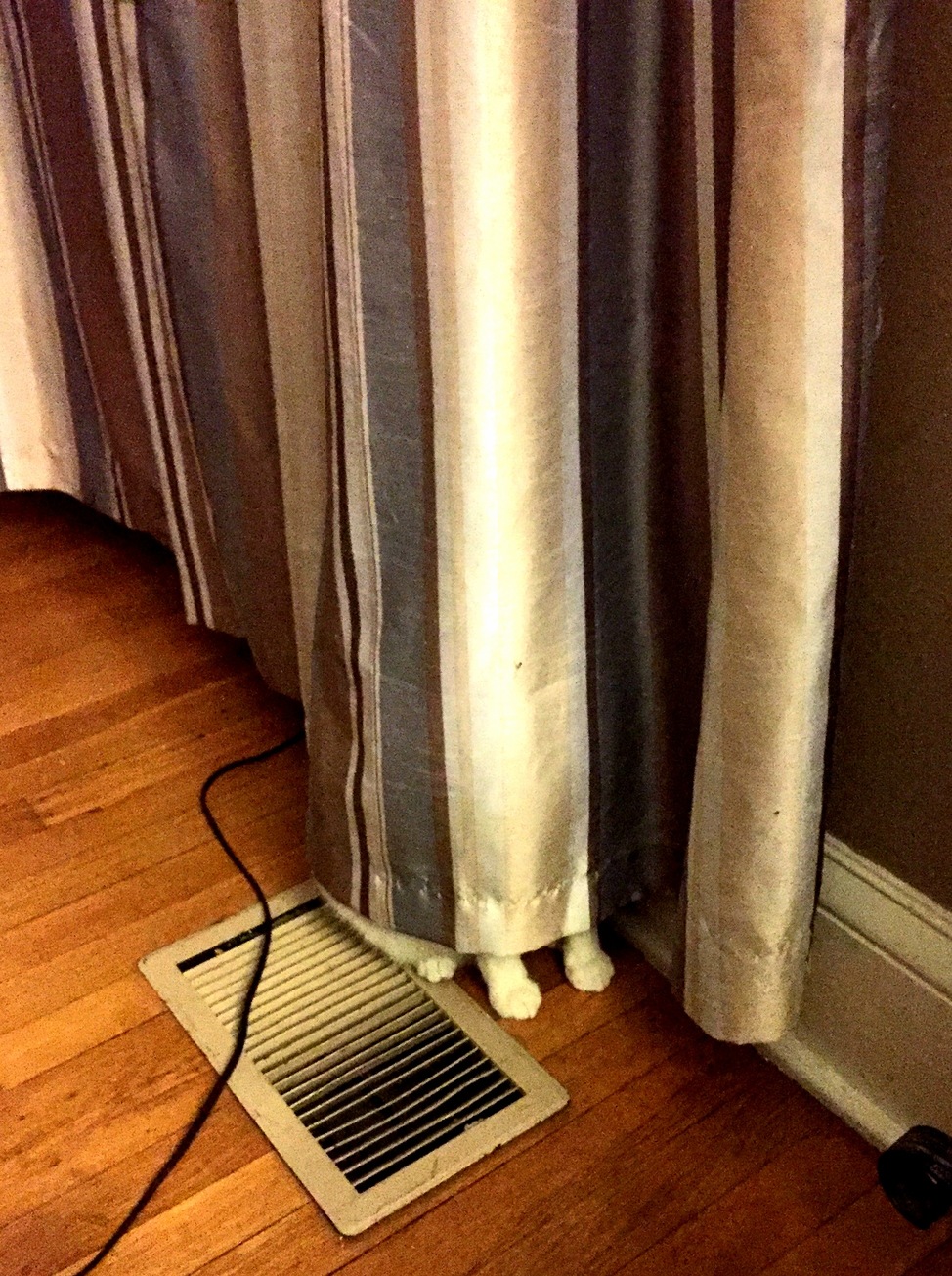 Melvin Is the Best at Hiding