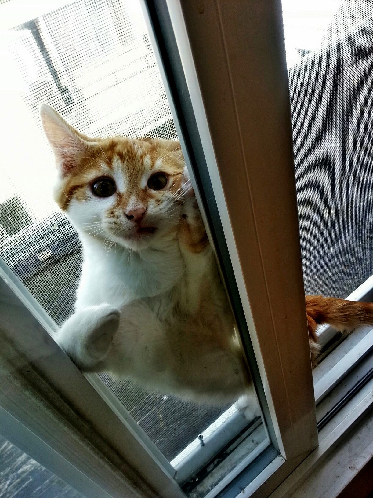 Mommy Im Stuckd